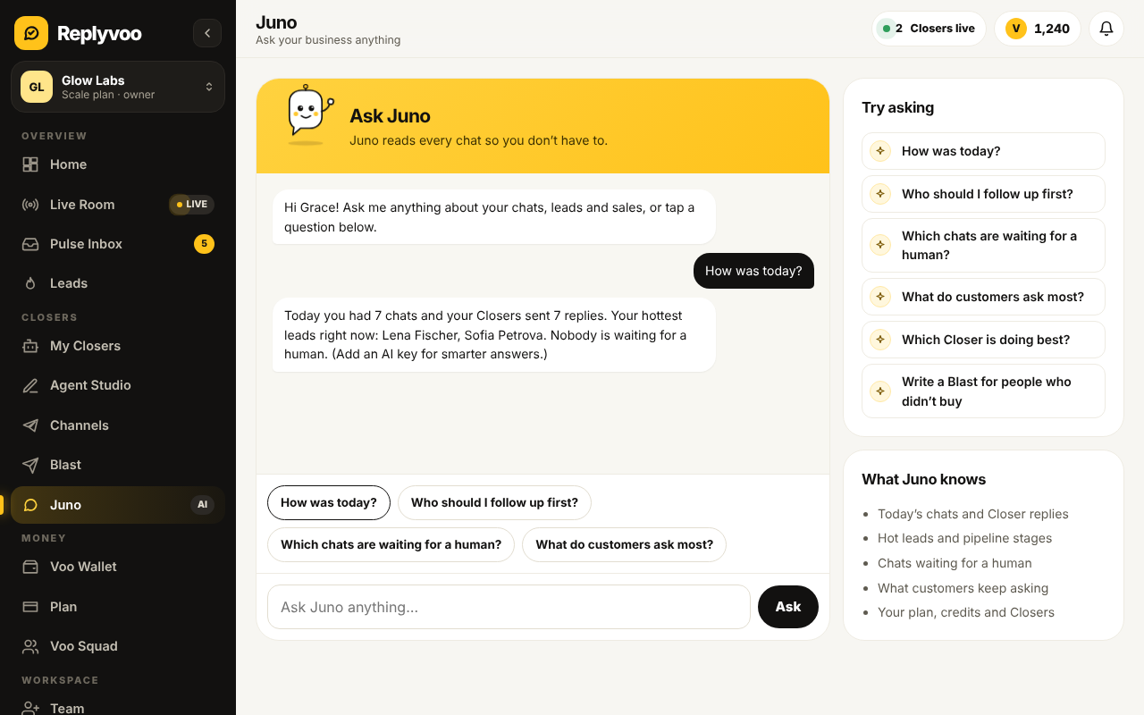 Juno answering a question about common customer questions this week